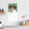 image Cats in Hats 2025 Mini Wall Calendar Fourth Alternate Image width=&quot;1000&quot; height=&quot;1000&quot;