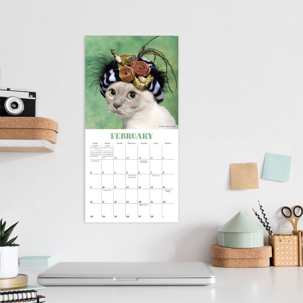 Cats in Hats 2025 Mini Wall Calendar Fourth Alternate Image width=&quot;1000&quot; height=&quot;1000&quot;