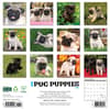 image Just Pug Puppies 2025 Wall Calendar