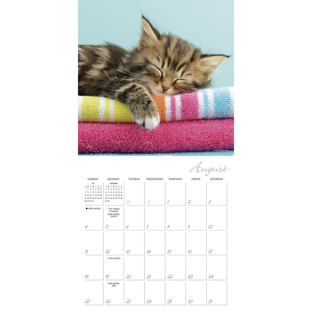 Cat Naps 2024 Mini Wall Calendar