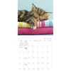 image Cat Naps 2024 Mini Wall Calendar Alternate Image 3