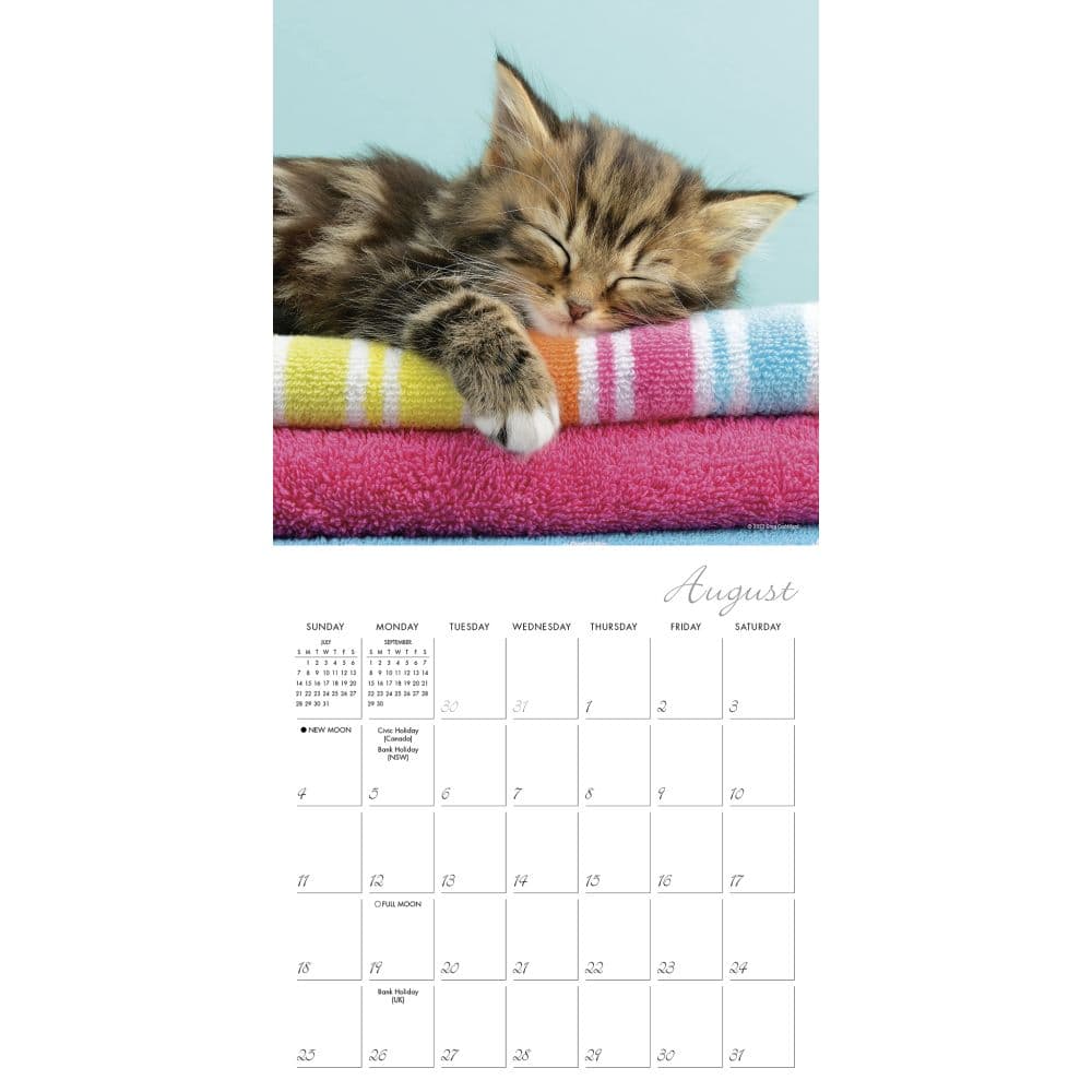 Cat Naps 2024 Mini Wall Calendar Alternate Image 3