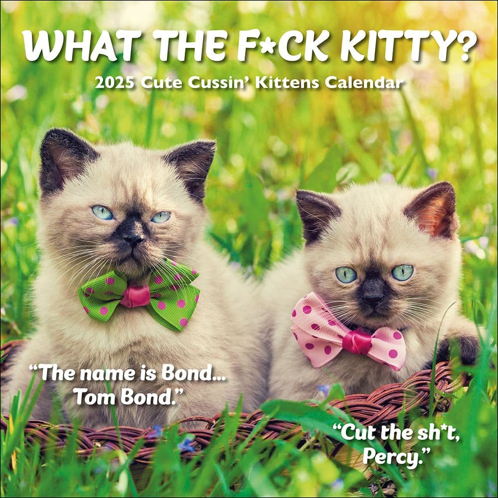 What the Fck Kitty 2025 Wall Calendar Main Image