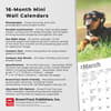 image Dachshund Puppies 2025 Mini Wall Calendar Fifth Alternate Image width=&quot;1000&quot; height=&quot;1000&quot;