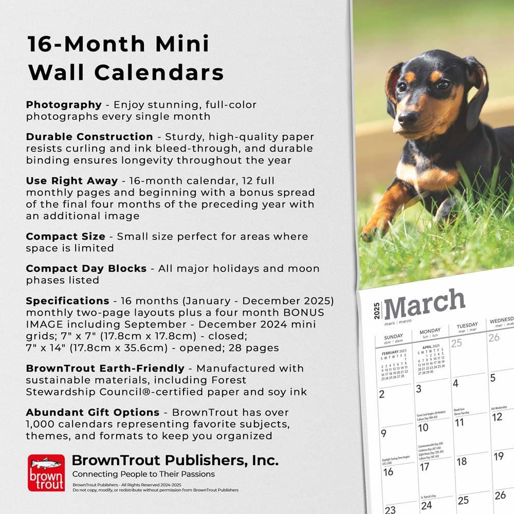 Dachshund Puppies 2025 Mini Wall Calendar Fifth Alternate Image width=&quot;1000&quot; height=&quot;1000&quot;
