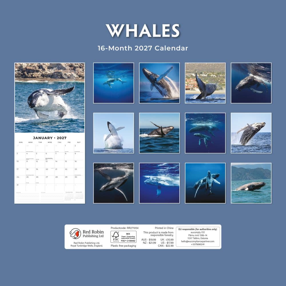 Whales 2027 Wall Calendar First Alternate Image