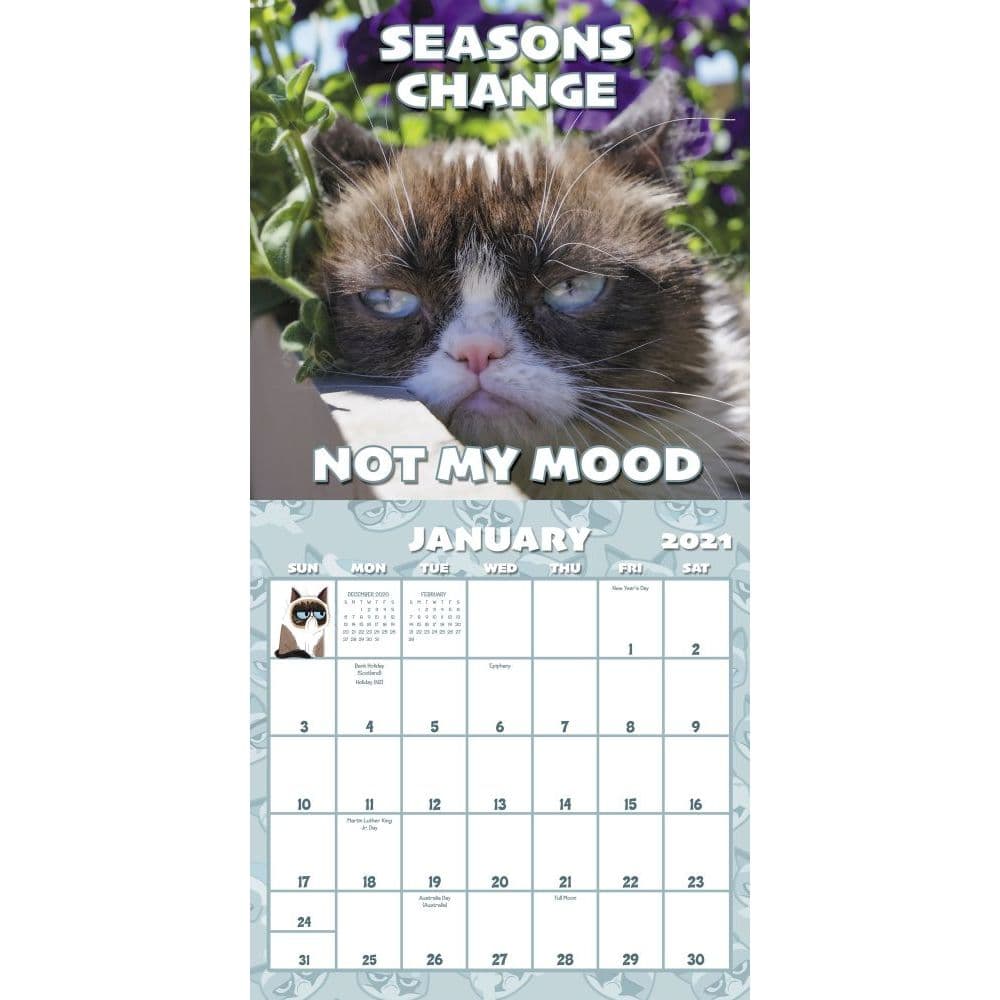 2021 Wall Cal Grumpy Cat by Grumppy Cat for sale online 2020, Calendar 
