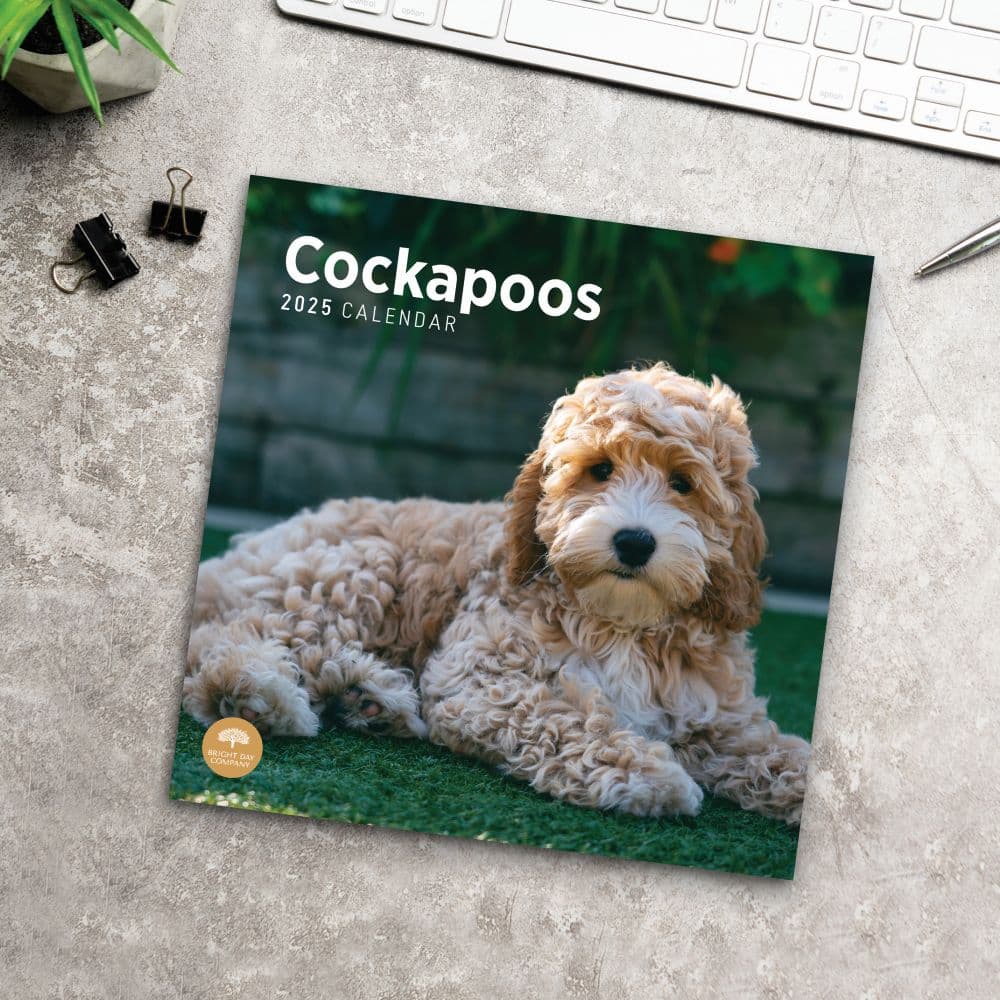 Cockapoos 2025 Wall Calendar Fourth Alternate Image