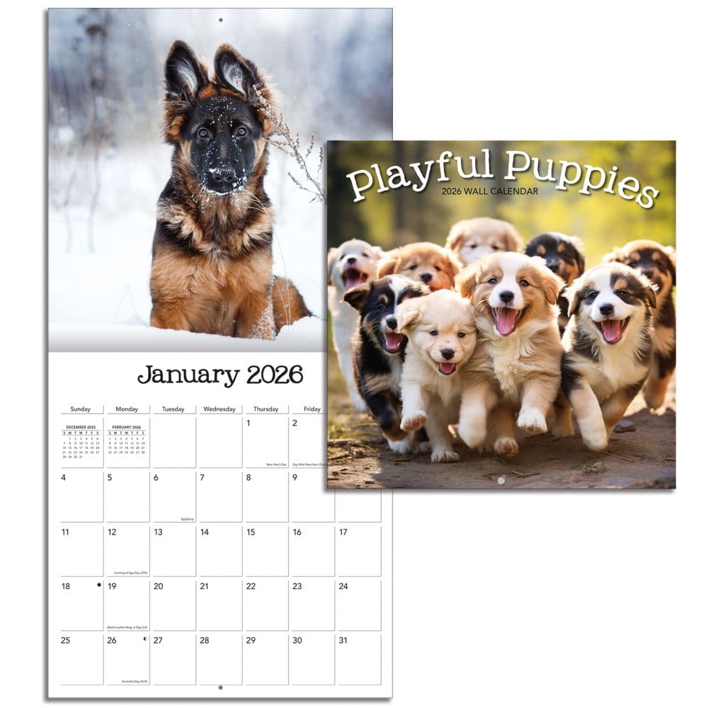 Playful Puppies Photo 2026 Mini Wall Calendar_ALT4