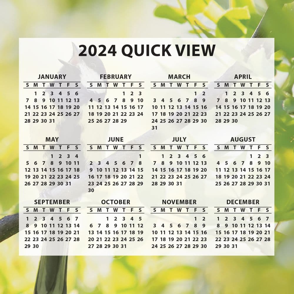 Songbirds 2024 Desk Calendar Alternate Image 4