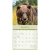 image Wildlife Special Value 2026 Wall Calendar Second Alternate Image