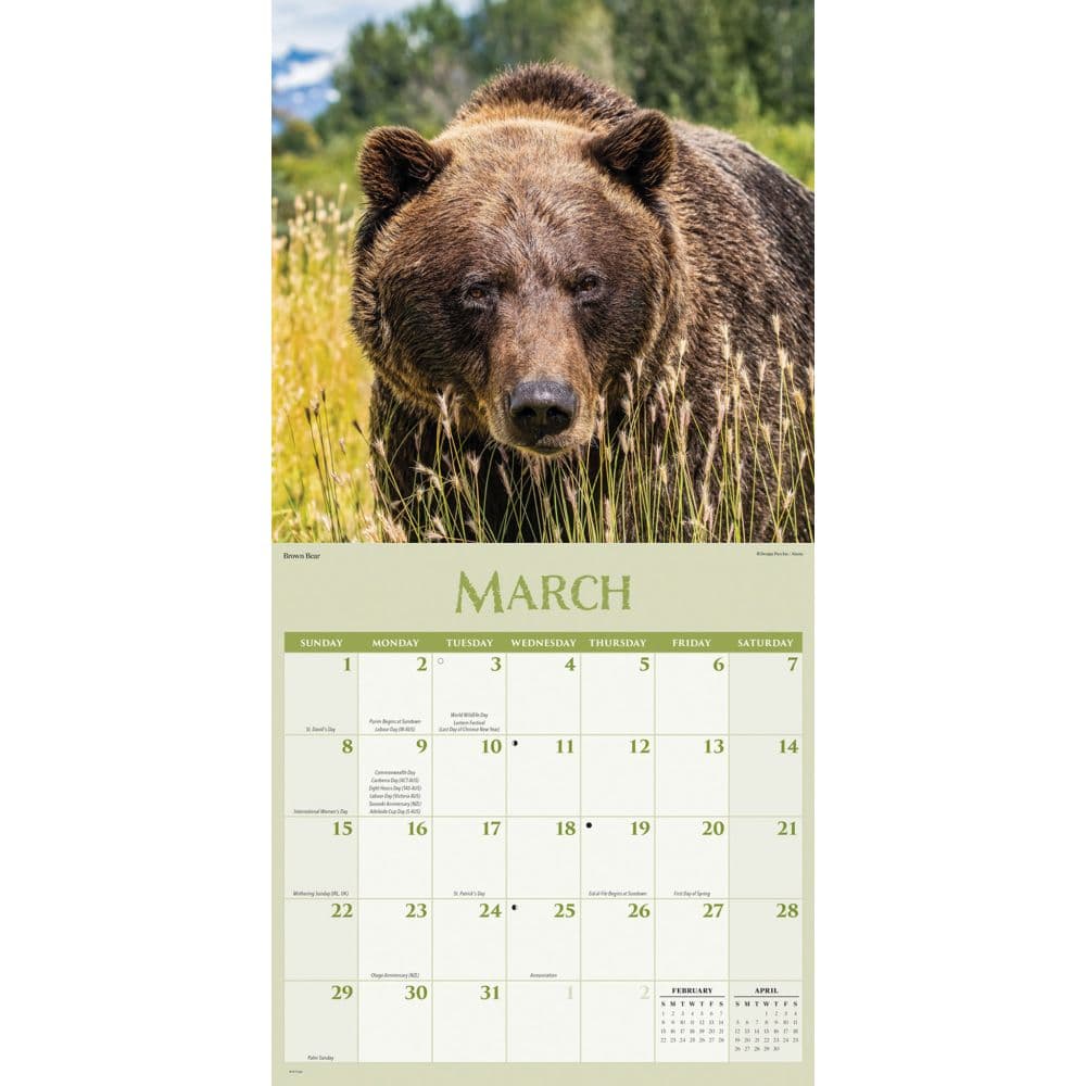 Wildlife Special Value 2026 Wall Calendar Second Alternate Image