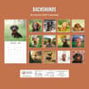 image Dachshunds 2027 Wall Calendar First Alternate Image