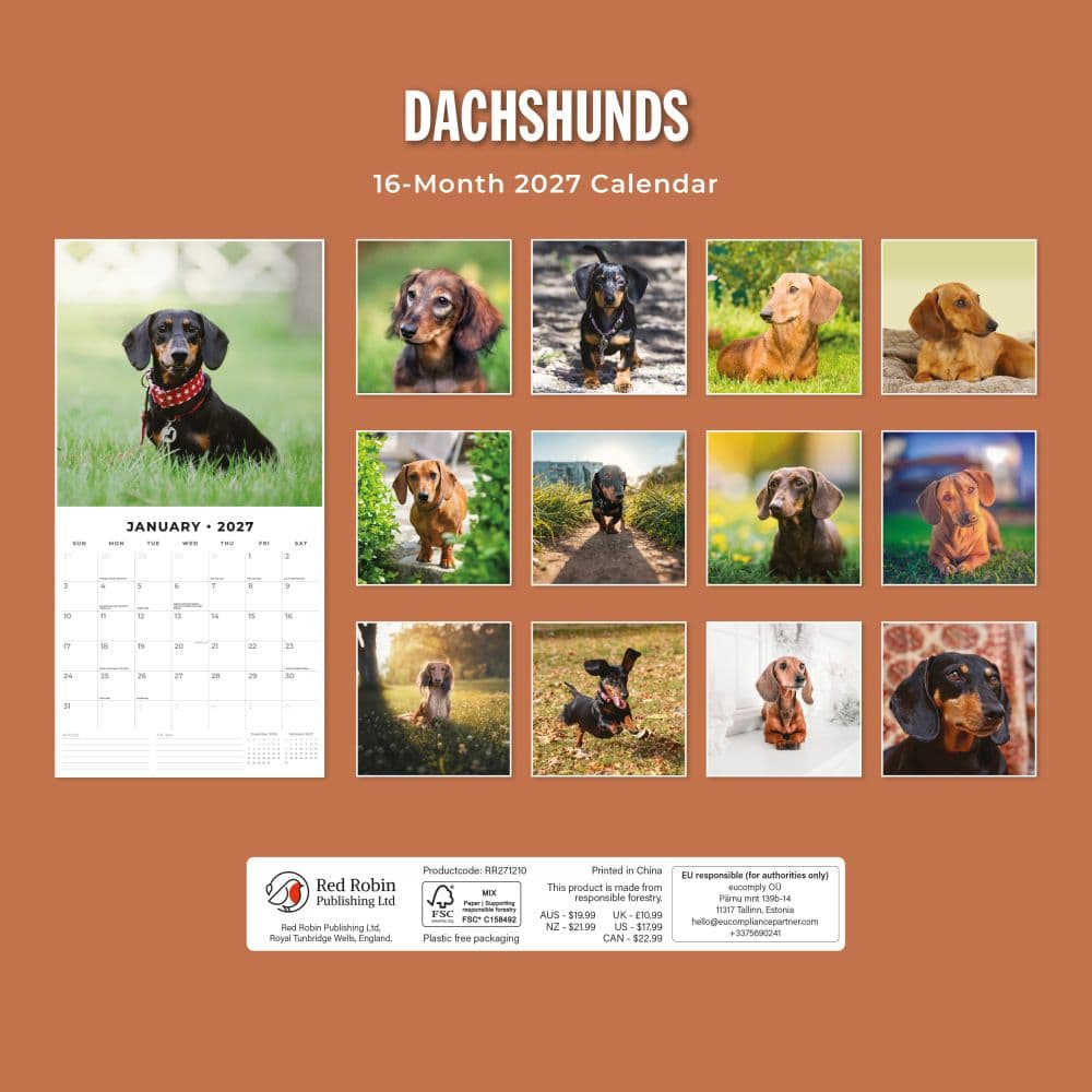 Dachshunds 2027 Wall Calendar First Alternate Image