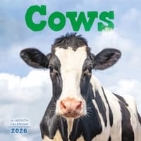 image Just Cows 2026 Wall Calendar Main Image