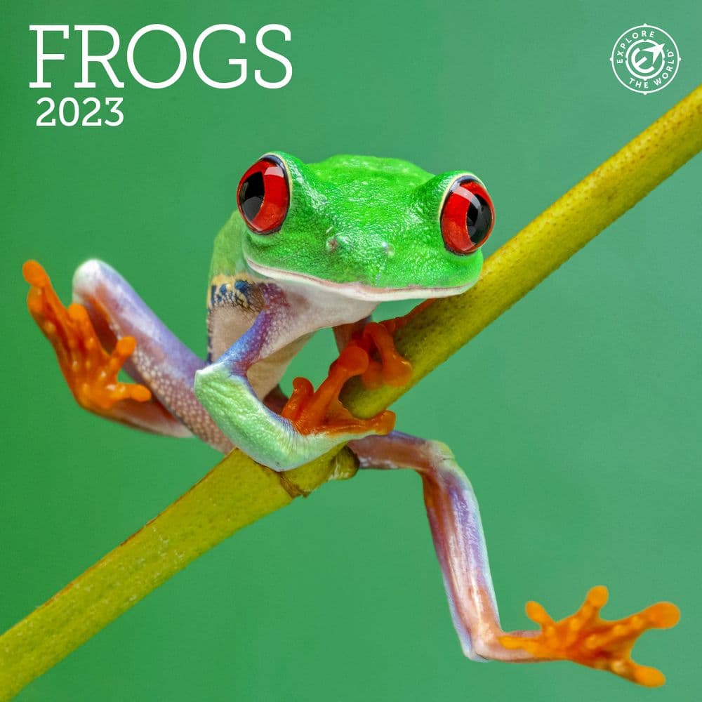 Frogs 2023 Mini Wall Calendar