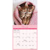 image Naptime 2025 Mini Wall Calendar Second Alternate Image width=&quot;1000&quot; height=&quot;1000&quot;