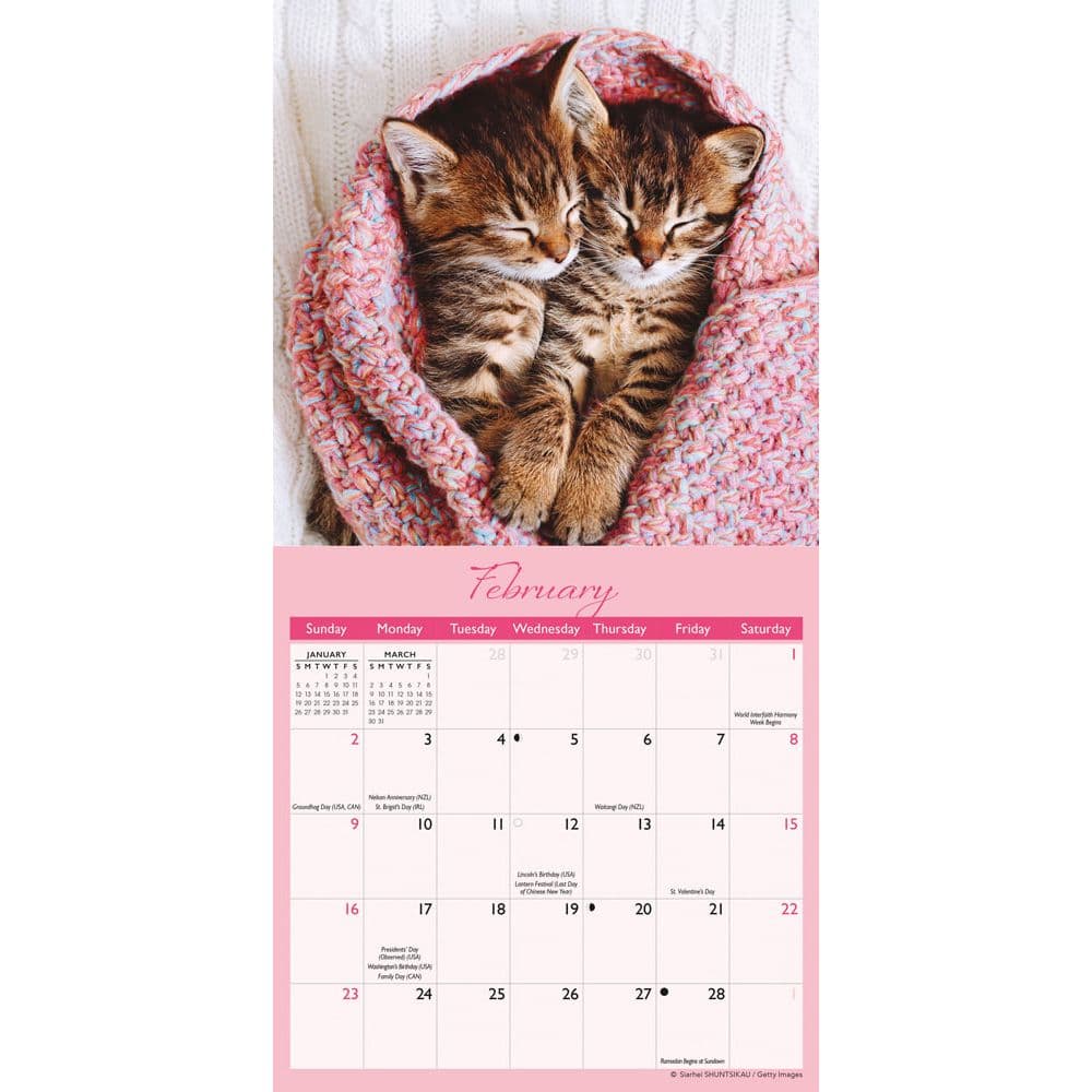 Naptime 2025 Mini Wall Calendar Second Alternate Image width=&quot;1000&quot; height=&quot;1000&quot;