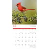 image Songbirds 2025 Wall Calendar Third Alternate Image width=&quot;1000&quot; height=&quot;1000&quot;