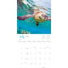 image Hawaiian Sea Turtles 2026 Wall Calendar Second Alternate Image