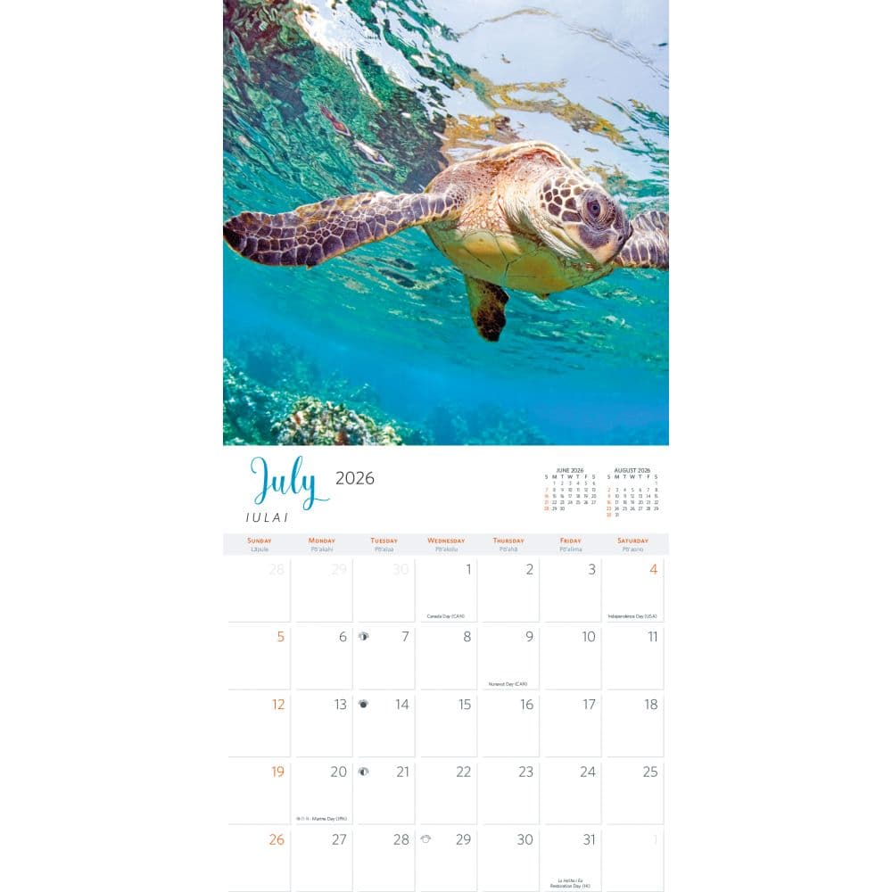 Hawaiian Sea Turtles 2026 Wall Calendar Second Alternate Image