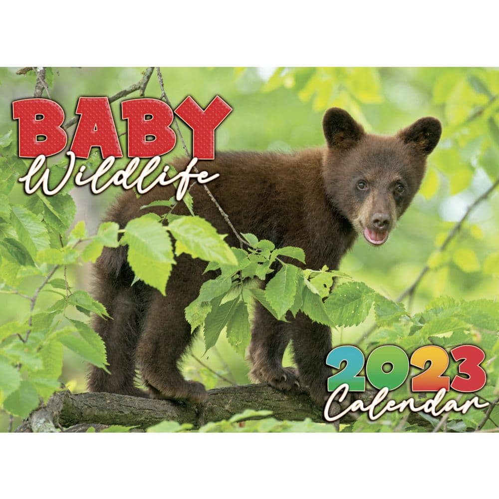 Baby Wildlife 2023 Wall Calendar by SmithSouthwestern Calendars For All