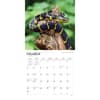 image Snakes 2024 Wall Calendar Second Alternate Image width=&quot;1000&quot; height=&quot;1000&quot;
