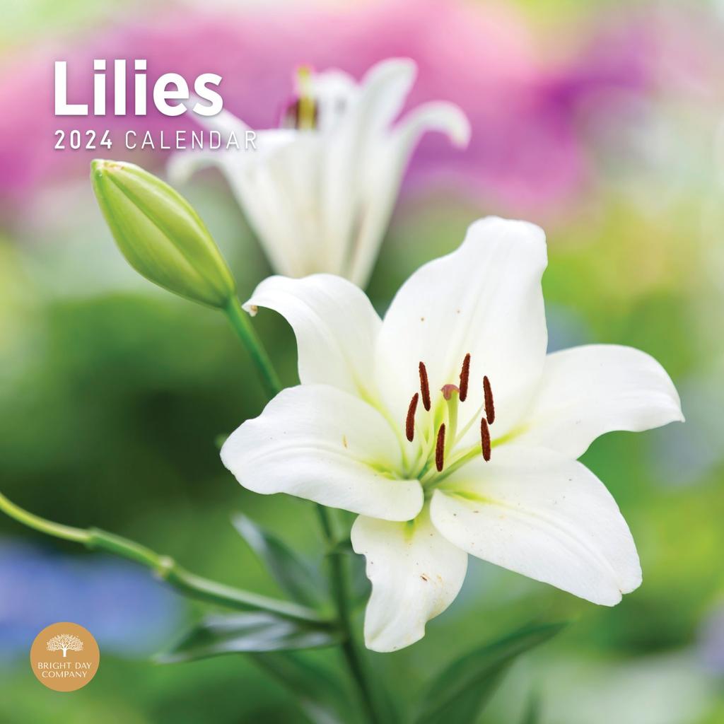 Calendrier 2024 Lily's & friends