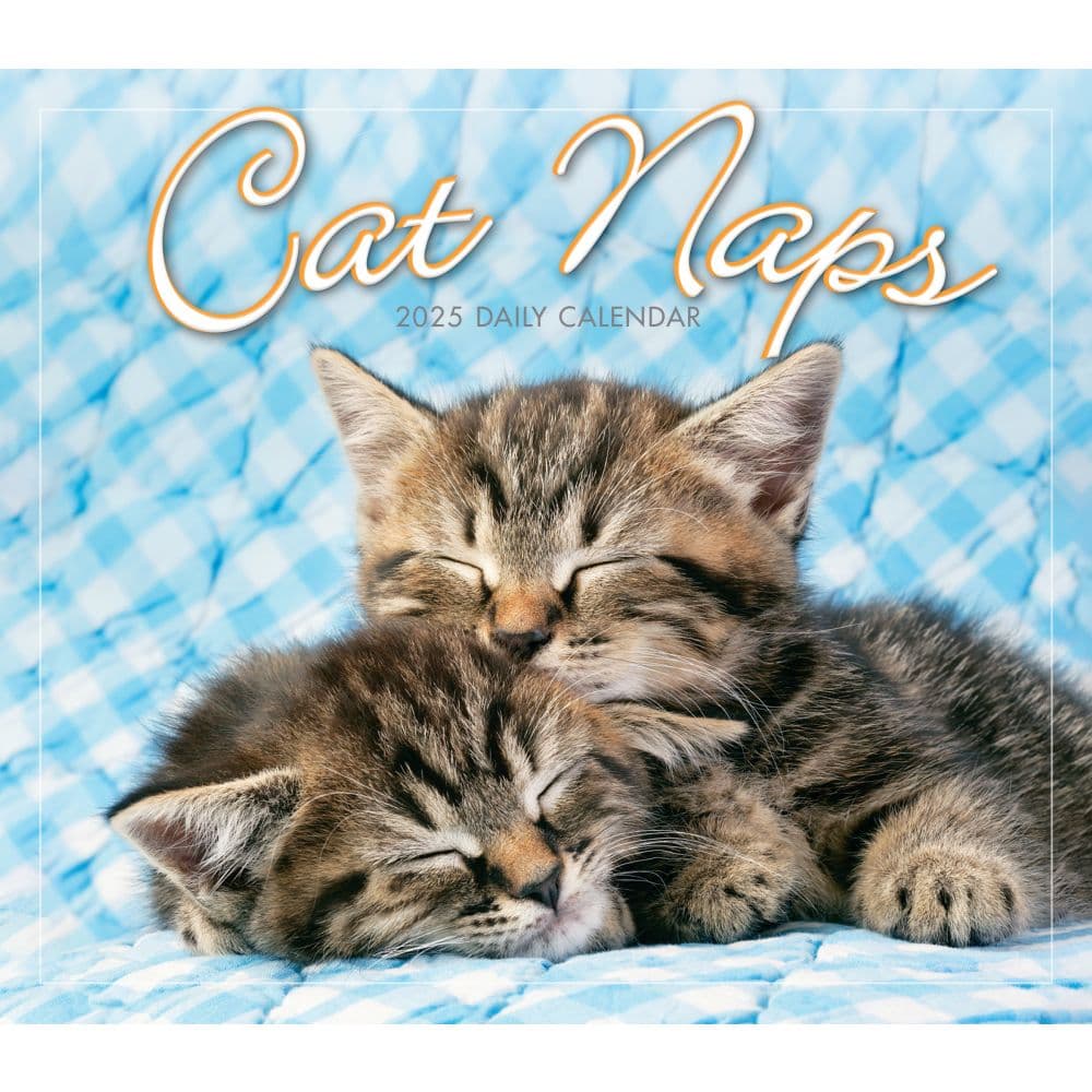 Cat Naps 2025 Desk Calendar