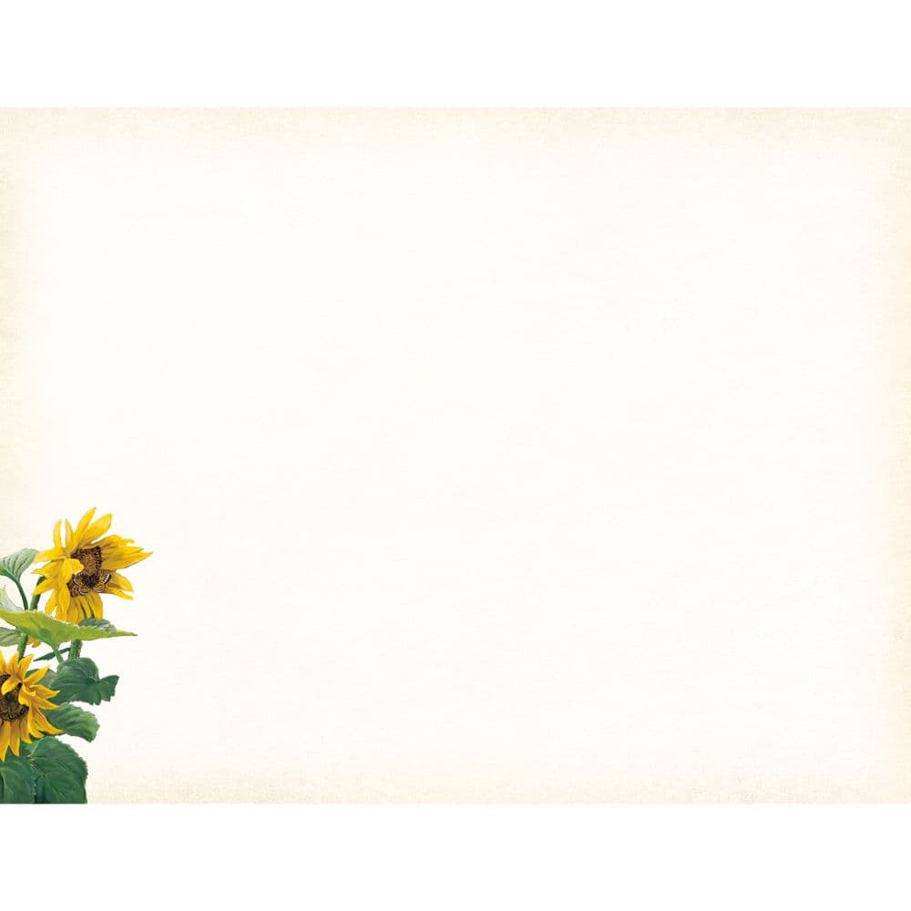 Sunflower Sanctuary Boxed Note Cards Third Alternate Image