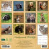 image Northwoods Wildlife 2025 Wall Calendar First Alternate Image width=&quot;1000&quot; height=&quot;1000&quot;