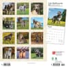 image Irish Wolfhounds 2024 Wall Calendar First Alternate Image width=&quot;1000&quot; height=&quot;1000&quot;