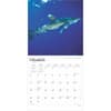 image Sharks 2025 Wall Calendar Second Alternate Image