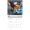 image Beagle Rules 2025 Wall Calendar