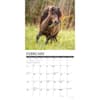 image Ponies 2025 Wall Calendar