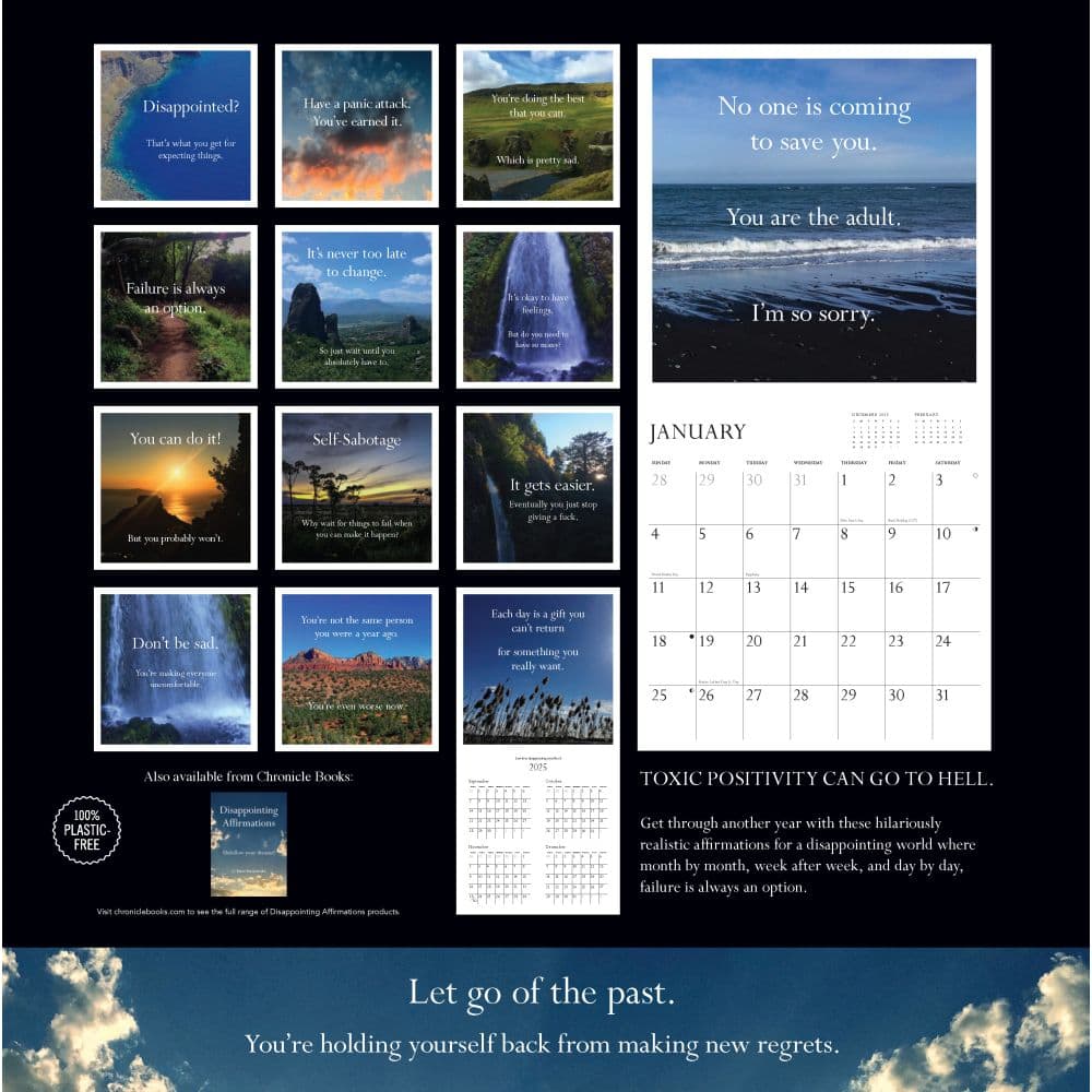 Disappointing Affirmations 2026 Wall Calendar First Alternate Image