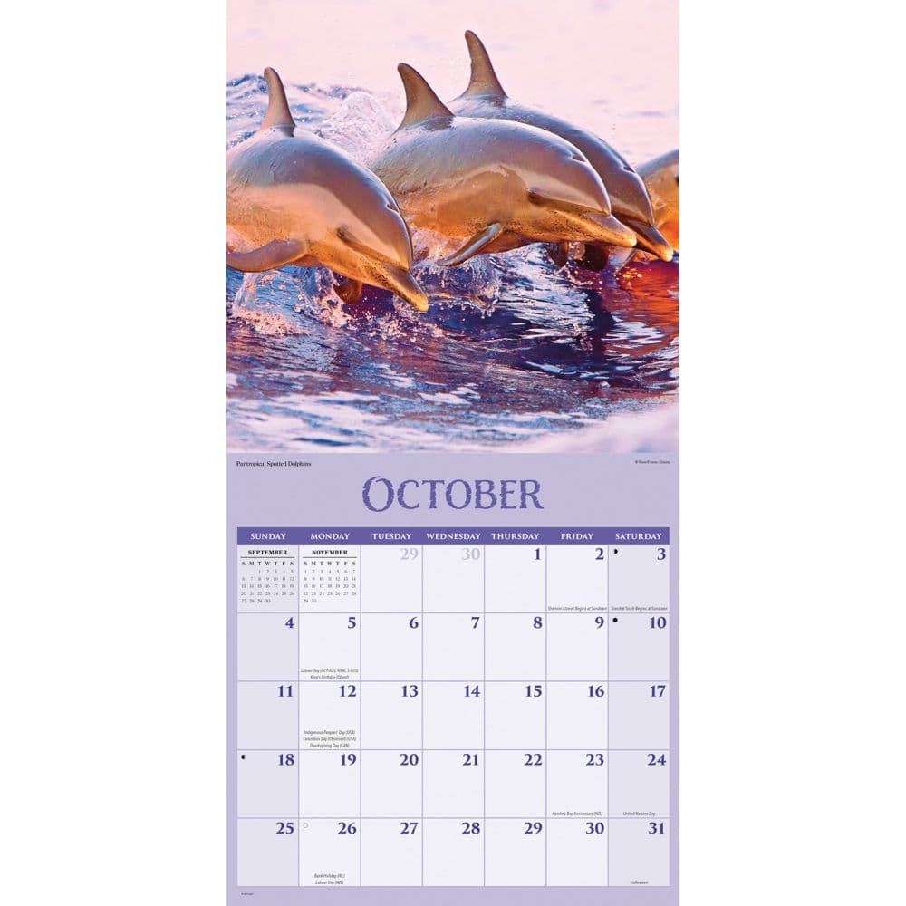 Wildlife Special Value 2026 Wall Calendar Fourth Alternate Image