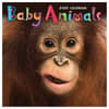 image Baby Animals 2025 Mini Wall Calendar  Main Image