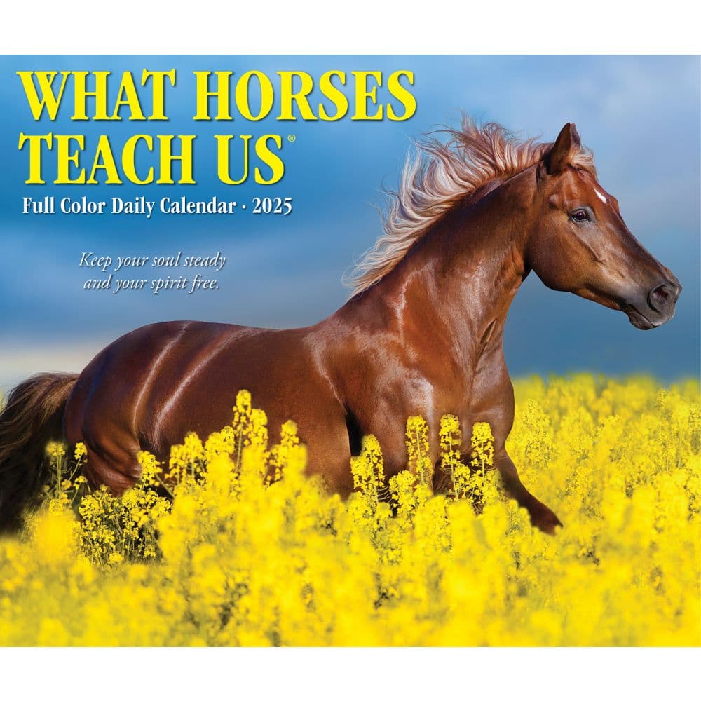 image What Horses Teach Us 2025 Desk Calendar Main Image