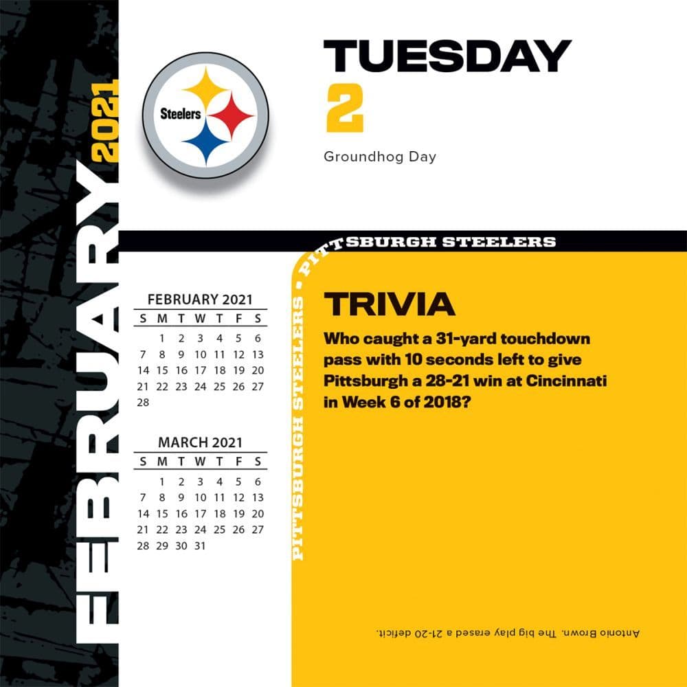 Pittsburgh Steelers Desk Calendar - Calendars.com