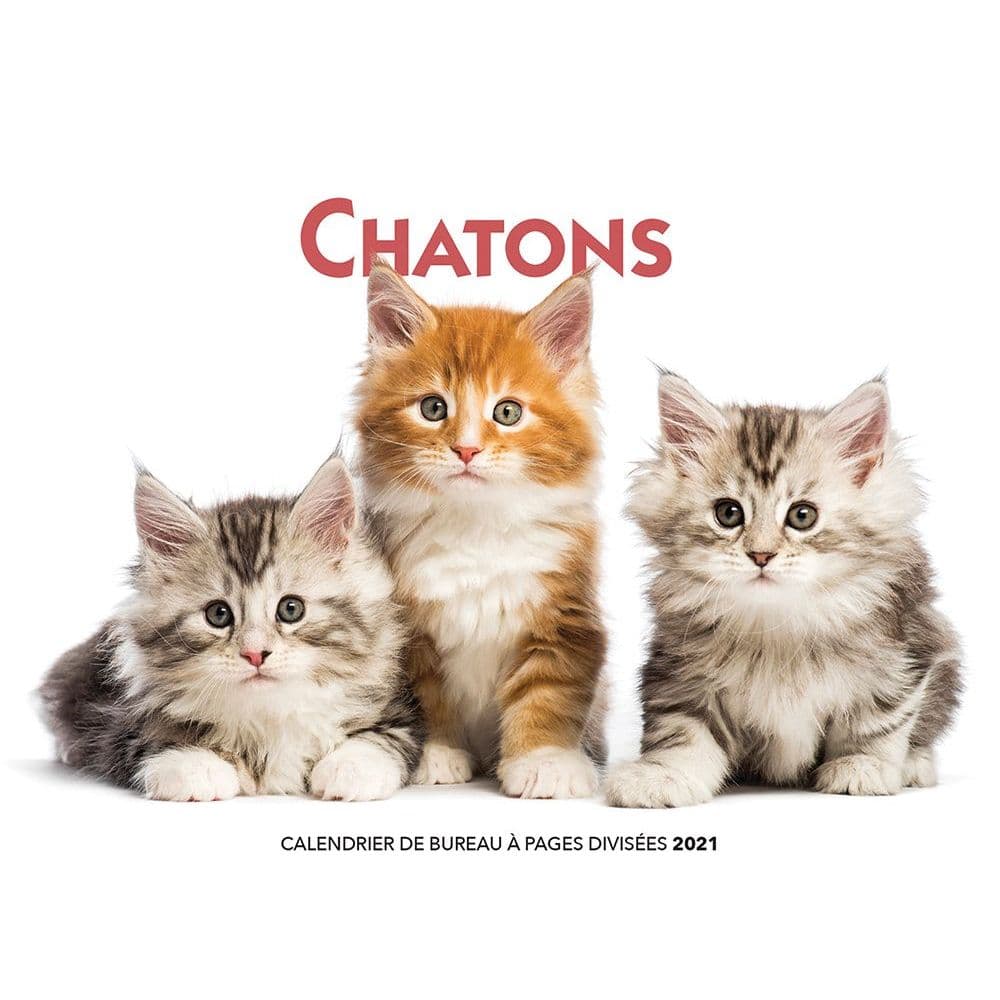 Calendrier Chatons 2023 Chatons Double Easel Calendar (French) - Calendars.com