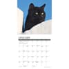 image Black Cats 2025 Mini Wall Calendar Second Alternate Image width=&quot;1000&quot; height=&quot;1000&quot;