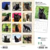 image Black Cats 2024 Wall Calendar First Alternate Image width=&quot;1000&quot; height=&quot;1000&quot;