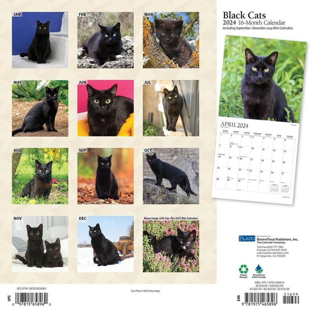 Black Cats 2024 Wall Calendar First Alternate Image width=&quot;1000&quot; height=&quot;1000&quot;