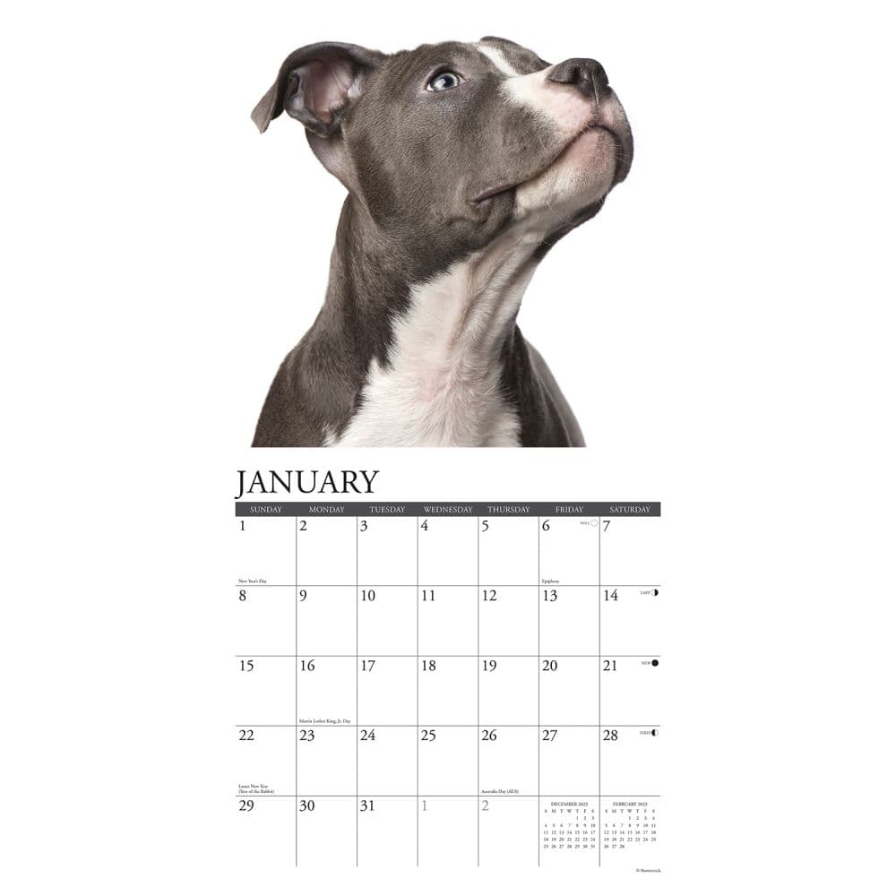 Pitt 20222023 Calendar Customize and Print