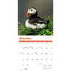 image Puffins 2026 Wall Calendar Fourth Alternate Image