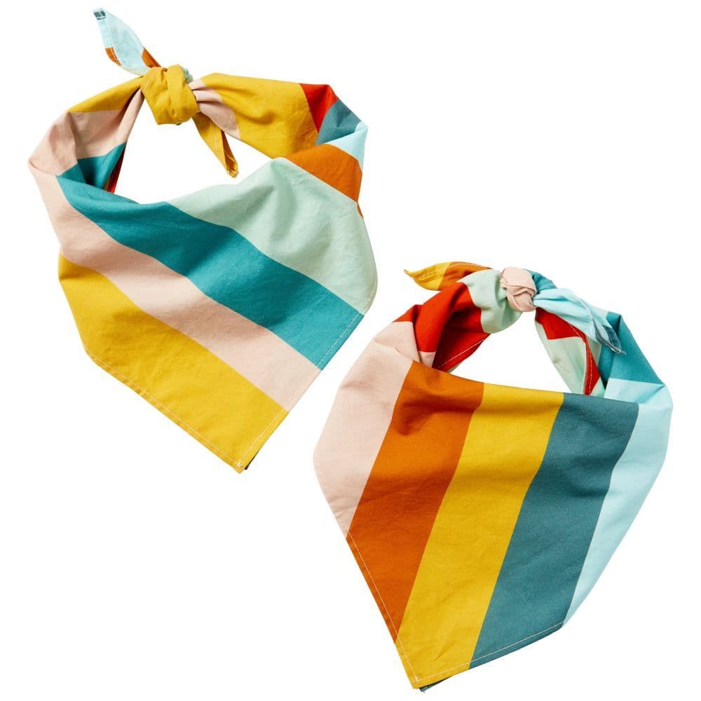 Petperson Bandana Matching Set Main Image