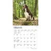 image English Springer Spaniels 2024 Mini Wall Calendar Second Alternate Image width=&quot;1000&quot; height=&quot;1000&quot;