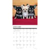 image Just Chihuahuas 2026 Wall Calendar Second Alternate Image