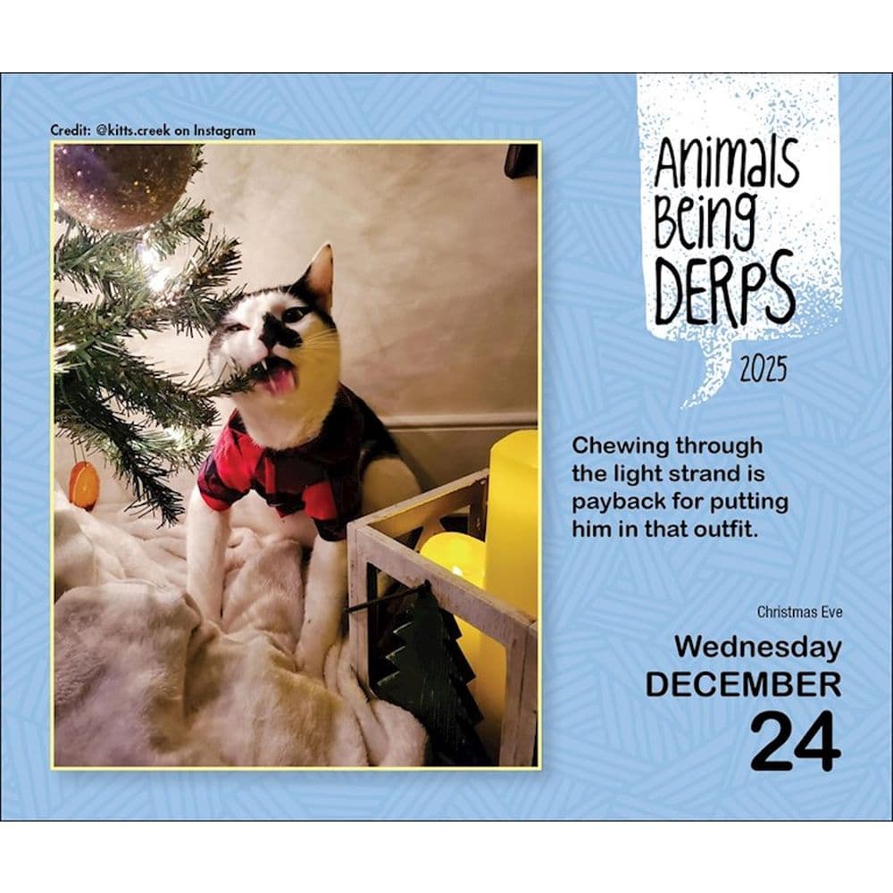 Animals Being Derps 2025 Desk Calendar Fourth Alternate Image